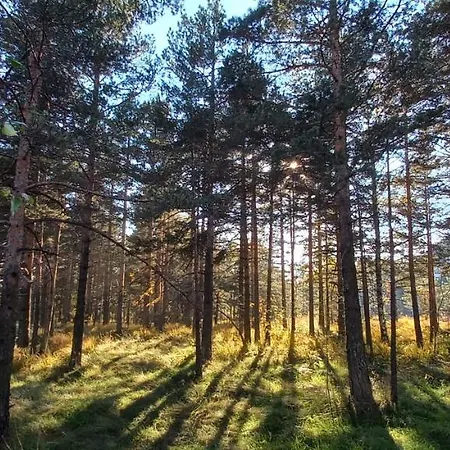 דירה Snezna Kraljica Ap 13 Divčibare