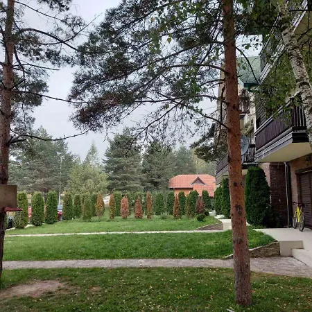 Apartment Snezna Kraljica Ap 13 Divcibare