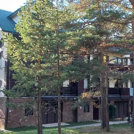 Snezna Kraljica Ap 13 Divčibare