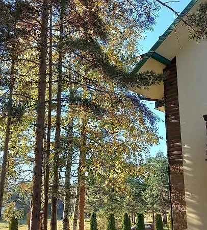 Snezna Kraljica Ap 13 דירה Divčibare