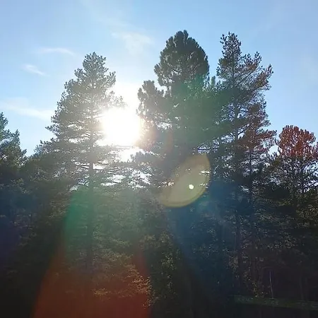 Snezna Kraljica Ap 13