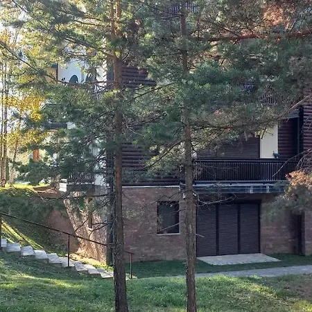 Snezna Kraljica Ap 13