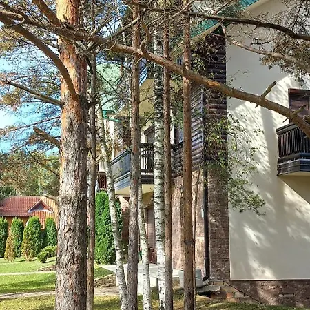 Apartment Snezna Kraljica Ap 13 Divcibare