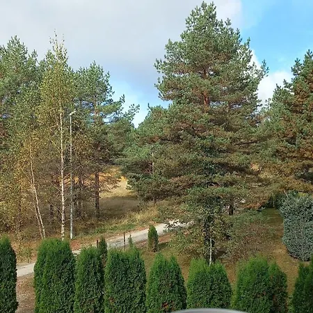 Snezna Kraljica Ap 13 *