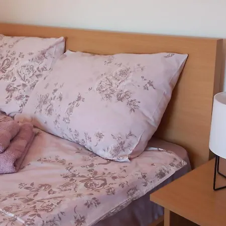 Snezna Kraljica Ap 13 *