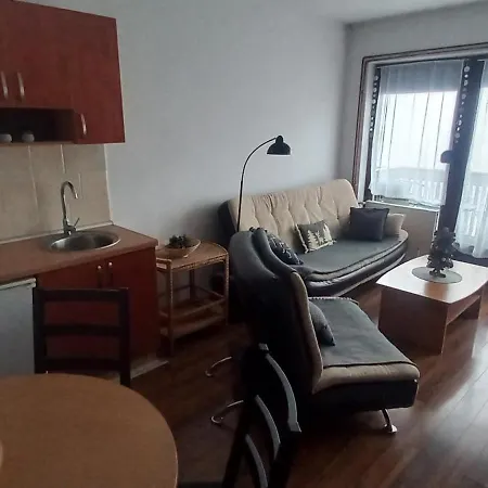 Snezna Kraljica Ap 13 *