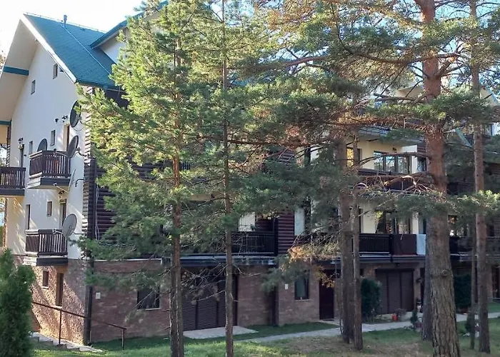 Snezna Kraljica Ap 13 Divčibare