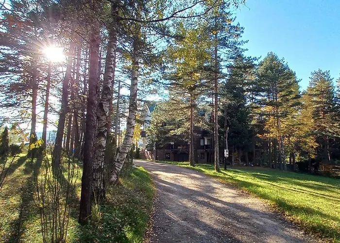 Snezna Kraljica Ap 13 Divčibare